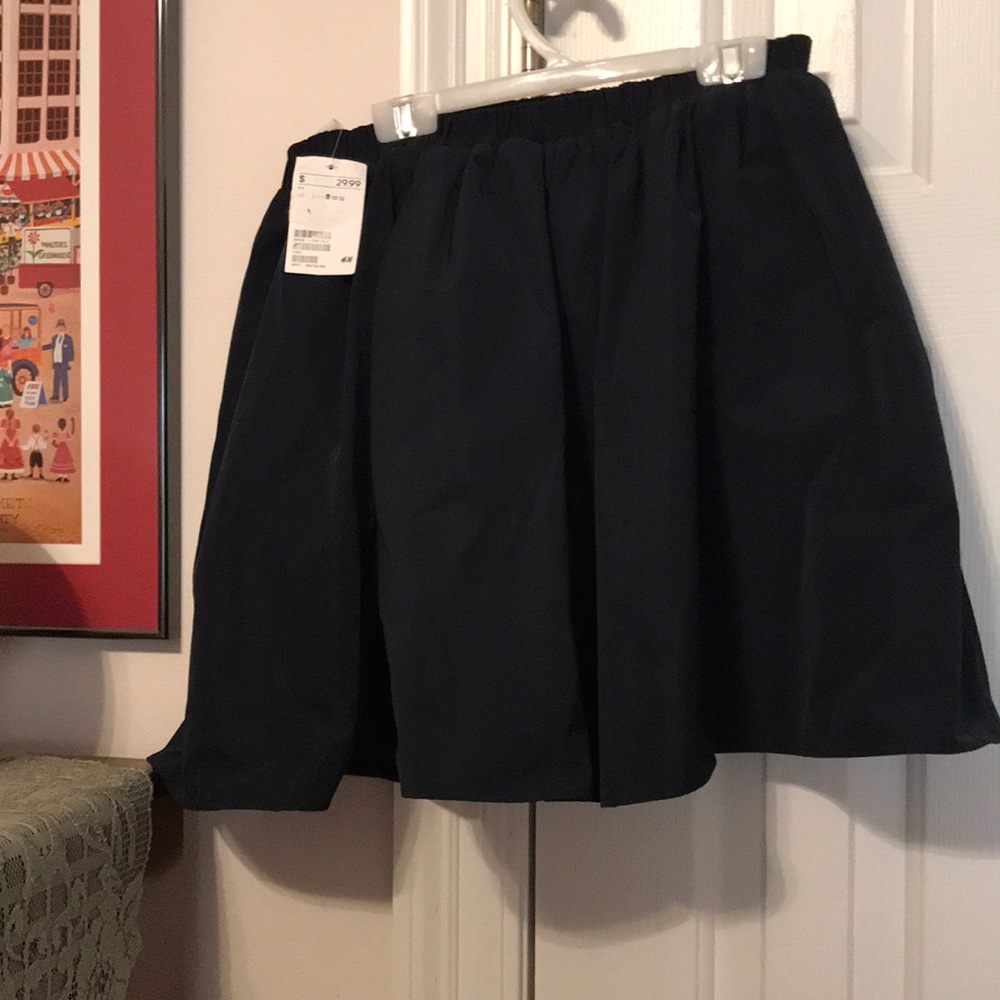 H&M Skater Skirt